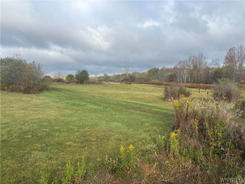 10087 Pratt Road - Photo 1