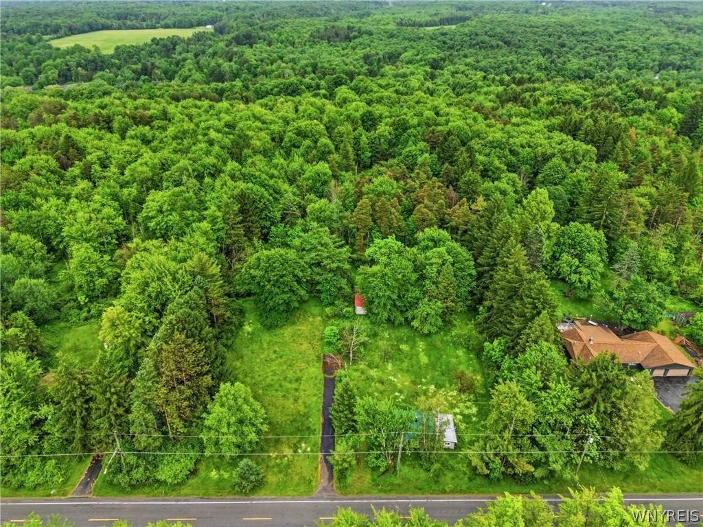 7499 Irish Road - Photo 1