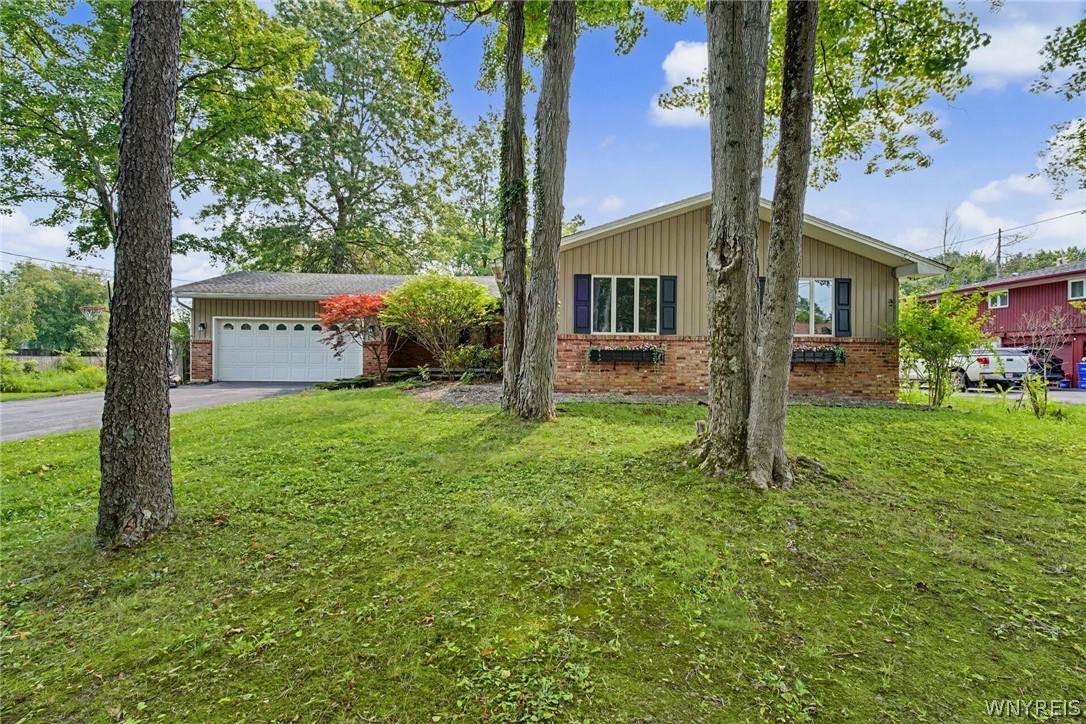 79 Jerge Drive - Photo 1