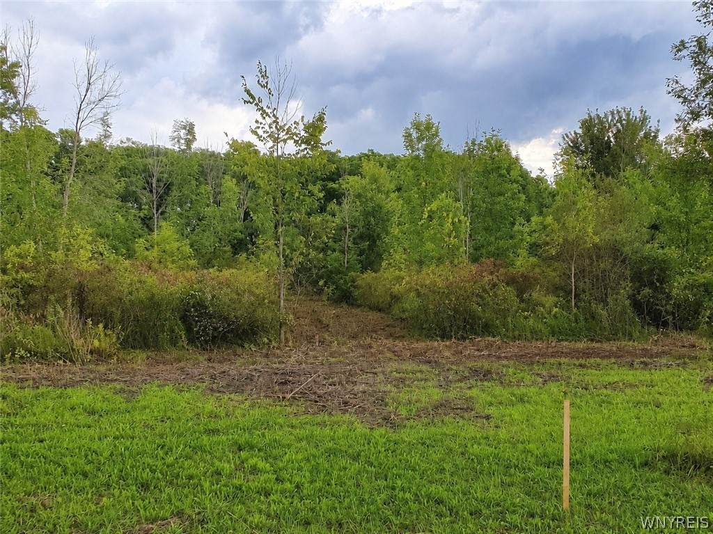 9970 Tonawanda Crk Rd N - Photo 1