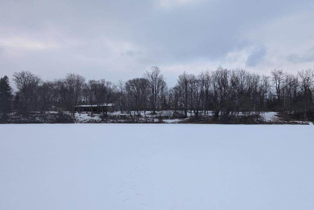 7011 E.William Ext. - Photo 1