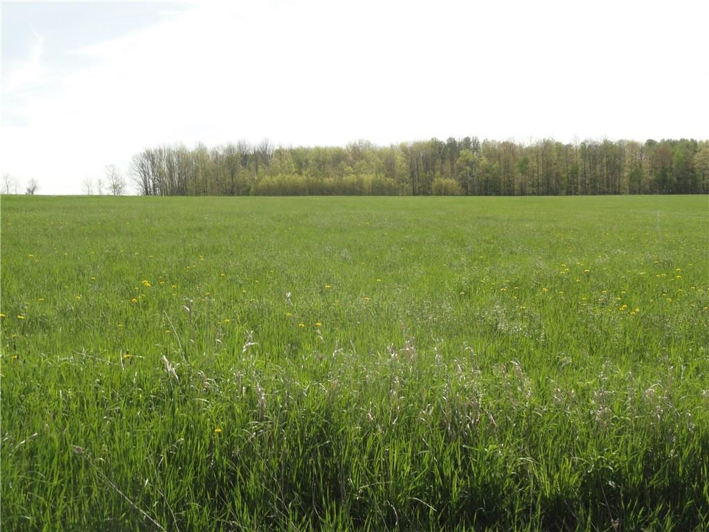 Lot 1 Tucker Road - Photo 1