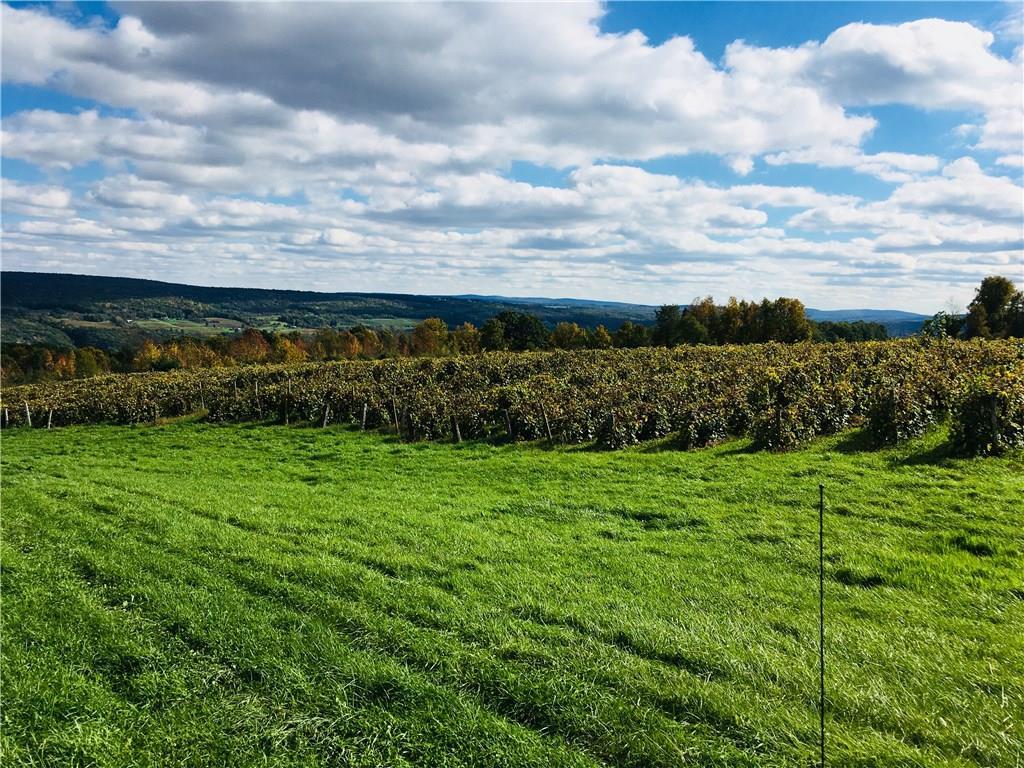 5020 Skyline Drive - Photo 1