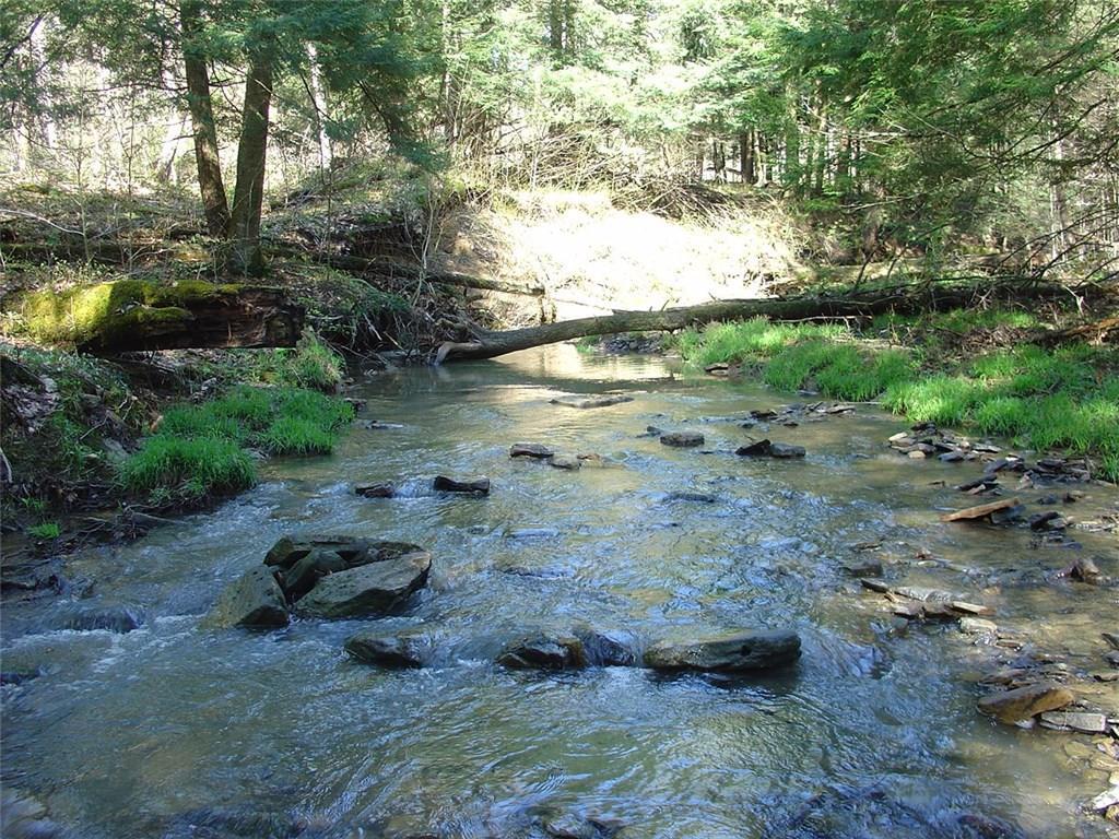0 Pierce Run Road - Photo 1