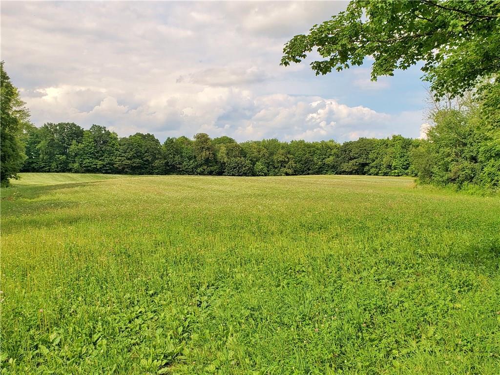 2966 Sherman Hollow Road - Photo 1