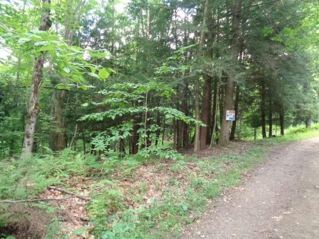 0 Upper Birch Road - Photo 1