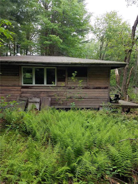 151 Garcia Rd - Photo 1