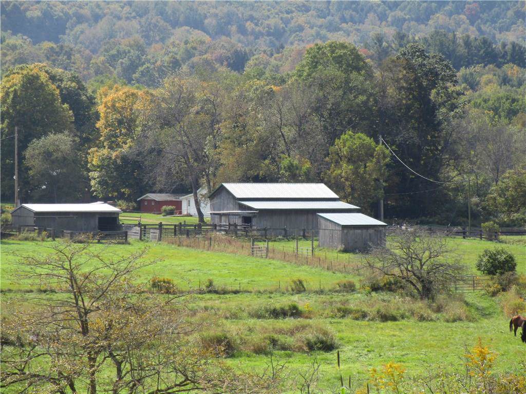 0 State Rte 417 & Ray Hill Rd - Photo 1
