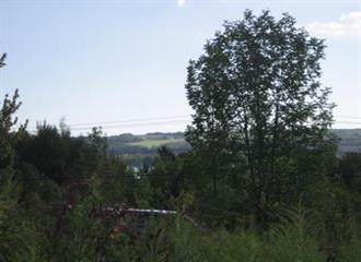 0 Route 394 - Photo 1