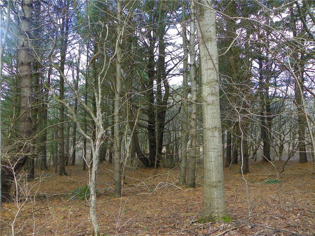 0 Mattoon Road - Photo 1