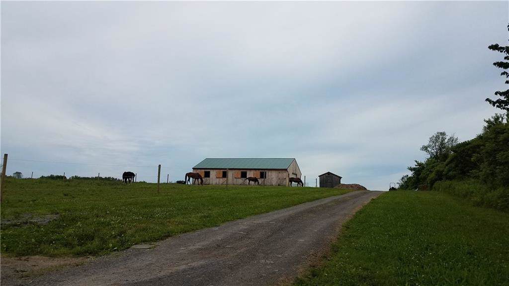 420 Curtis Road - Photo 1