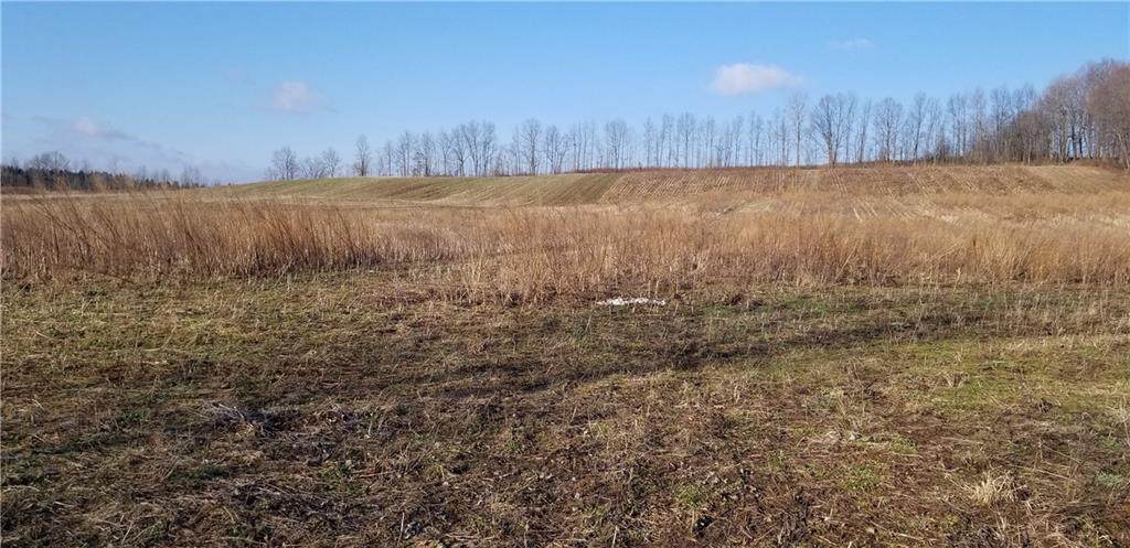1835 Daansen Road - Photo 1