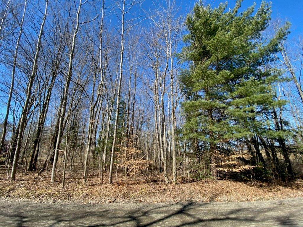 4631 Loucks Pond Road - Photo 1
