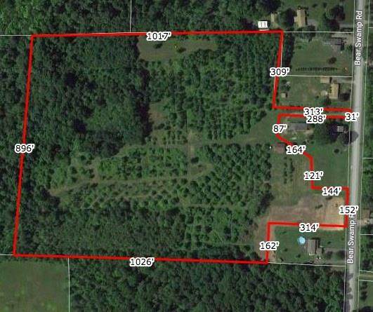 lot#1 Bear Swamp Rd Road - Photo 1