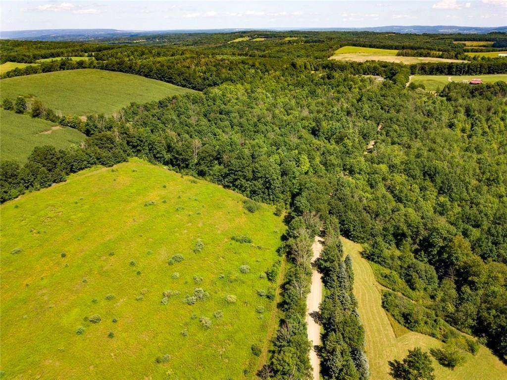 7803 Freeman Hollow Rd - Photo 1