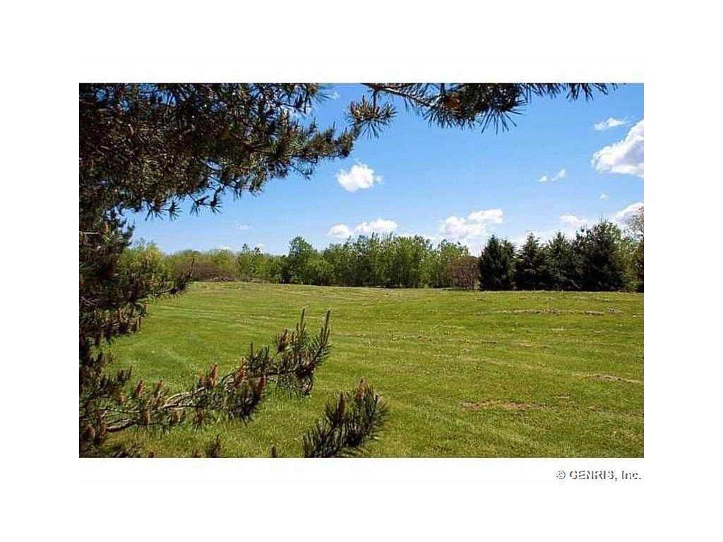 6848 Boughton Hill Road - Photo 1