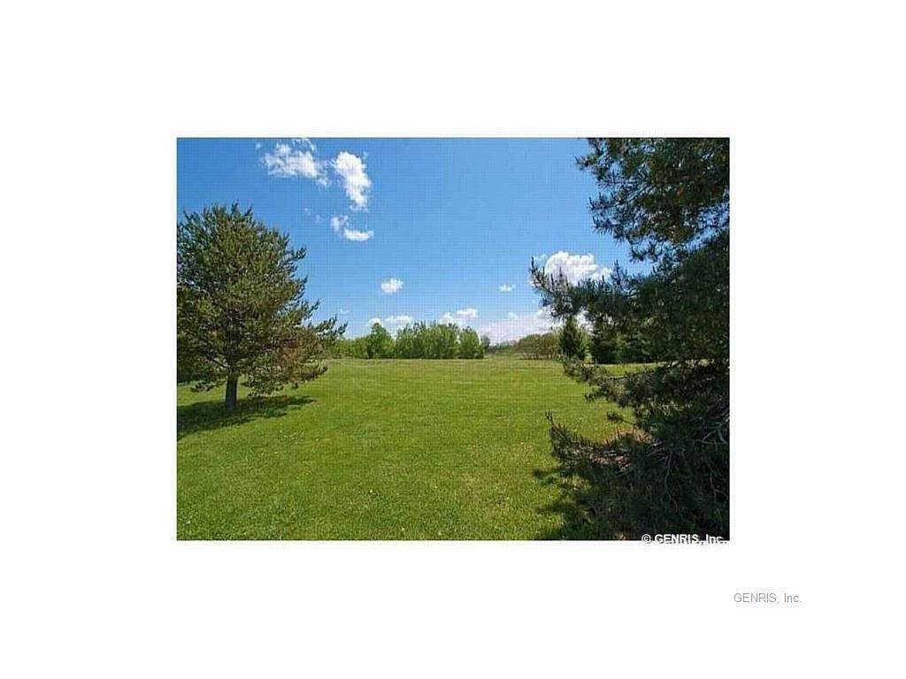 6850 Boughton Hill Road - Photo 1