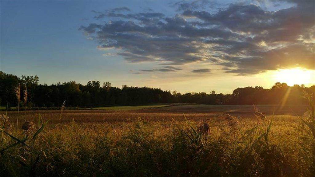 0 River Road - Photo 1