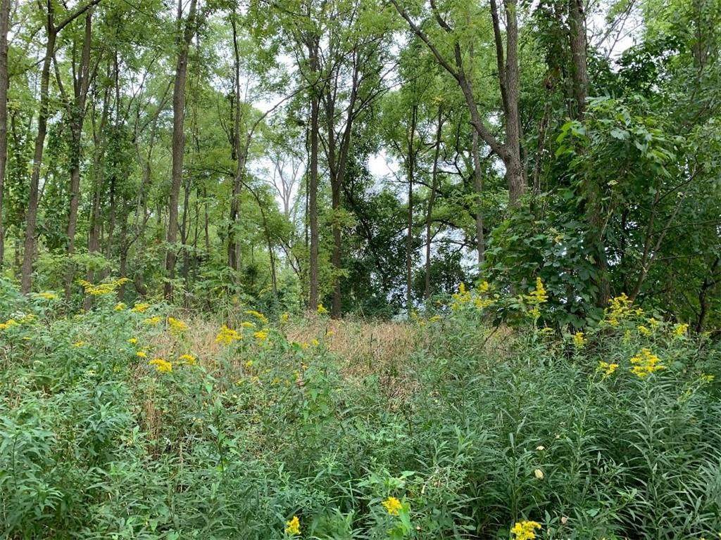 0 Townline - Photo 1