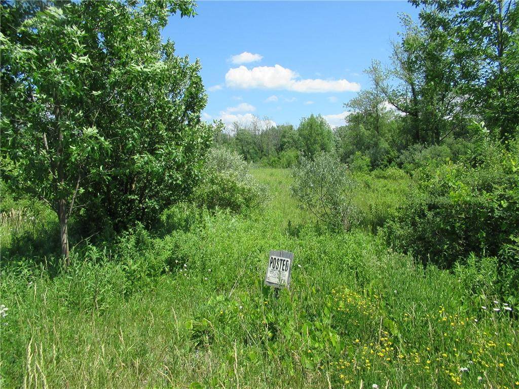 8331 Slusser Road - Photo 1