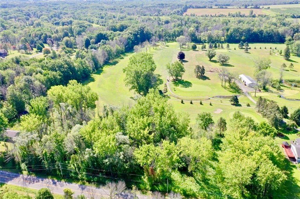 1175 Ogden Parma Town Line Road - Photo 1