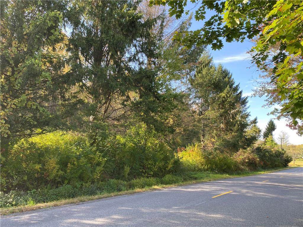 00 Hall Center Road - Photo 1