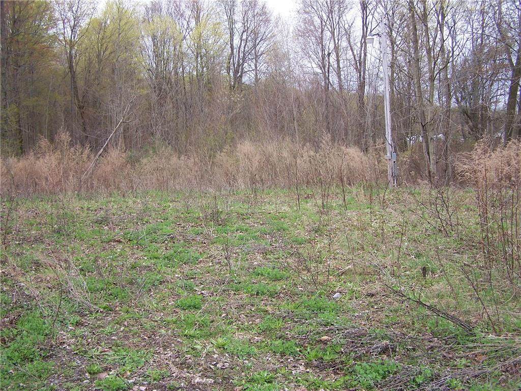13626 Chapman Corners Road - Photo 1