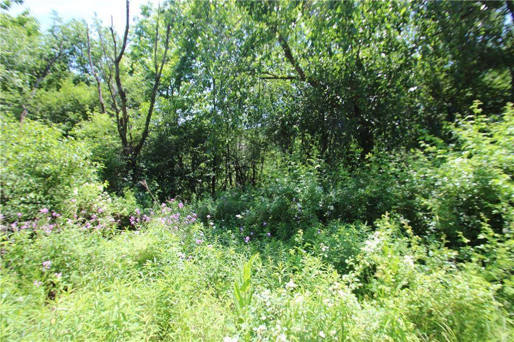 Lot #44 Creek Road - Photo 1