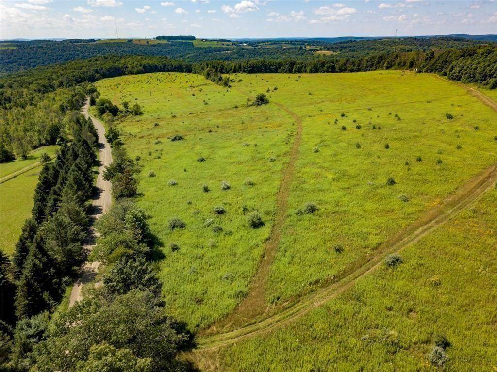 7803 Freeman Hollow Rd - Photo 1
