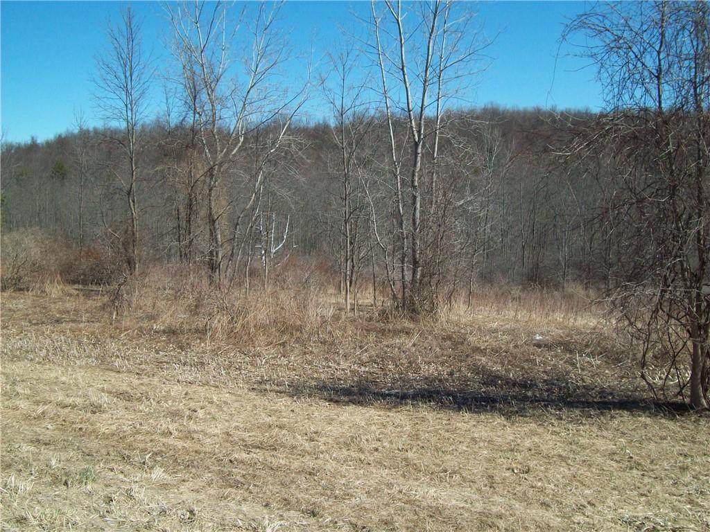 0 Route 21 N - Photo 1
