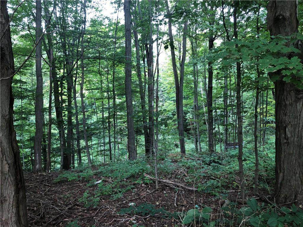 5585 Sayles Corners Rd - Photo 1
