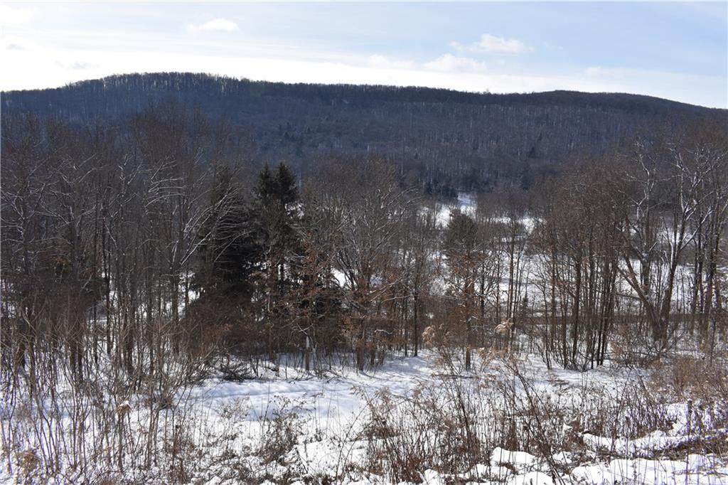 1694 Chapman Dam Road - Photo 1