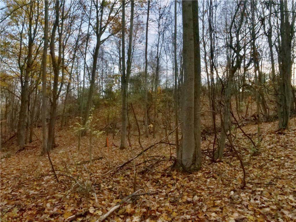 0 Turkey Run Drive - Photo 1