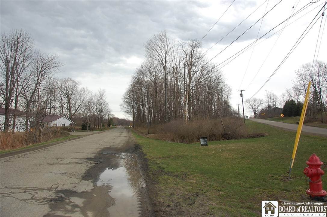 0 Webster Road - Photo 1