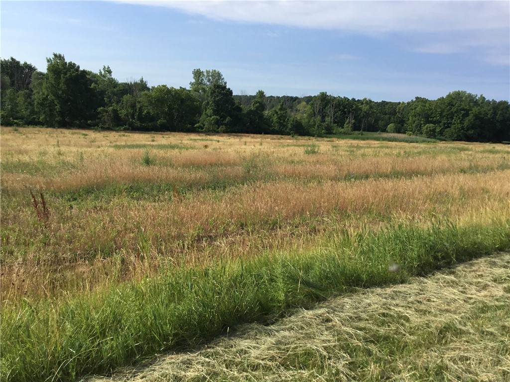 7830 Buffalo Road - Photo 1