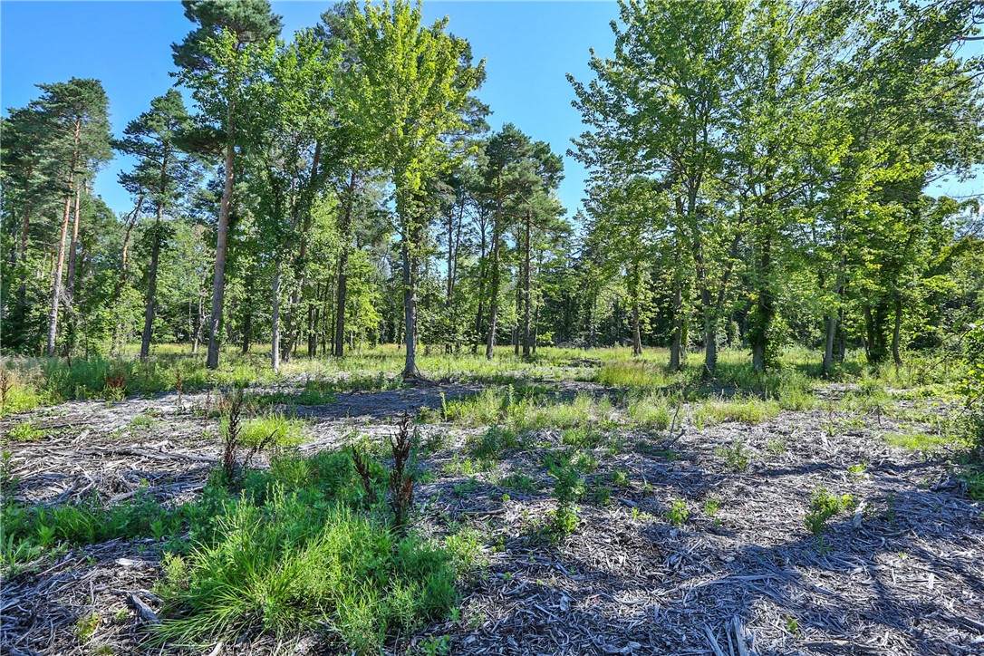 6880 County Line Road - Photo 1