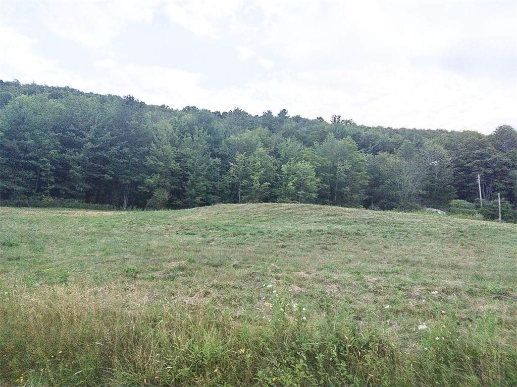 2110 Swartwood Hill Road - Photo 1