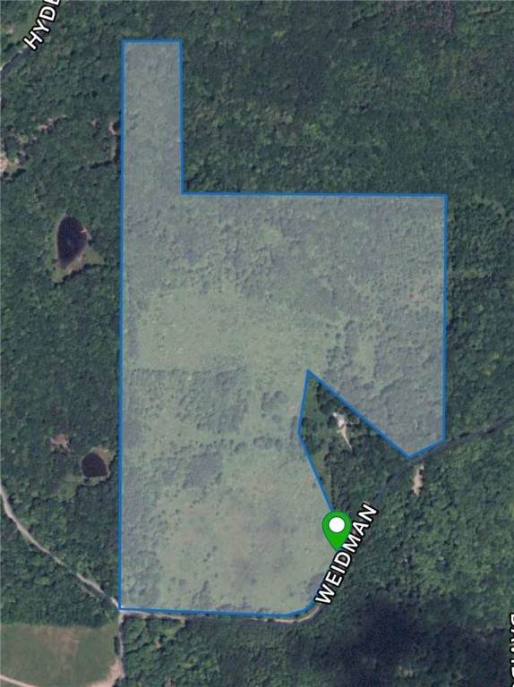 7653 Wideman Road - Photo 1
