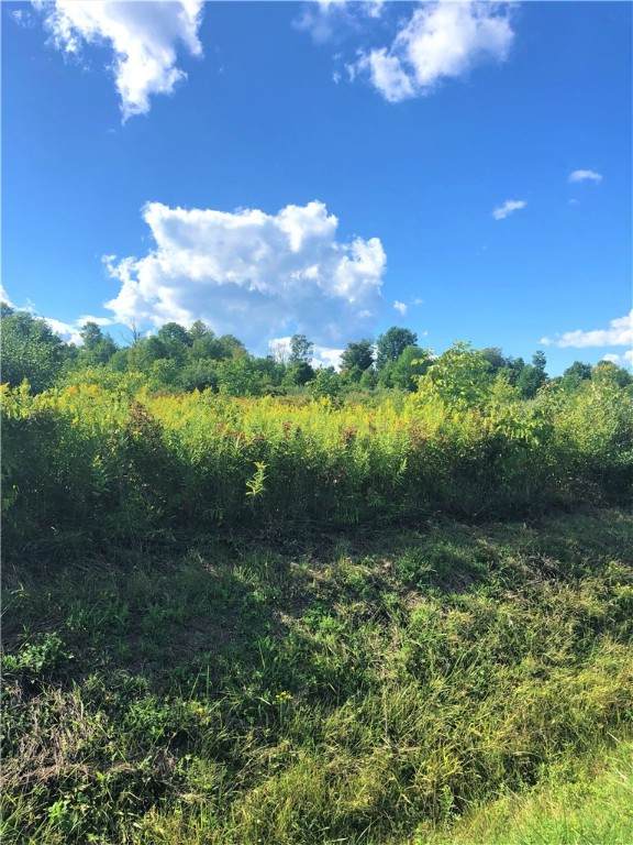 0 Demunn Lot 4 Road - Photo 1