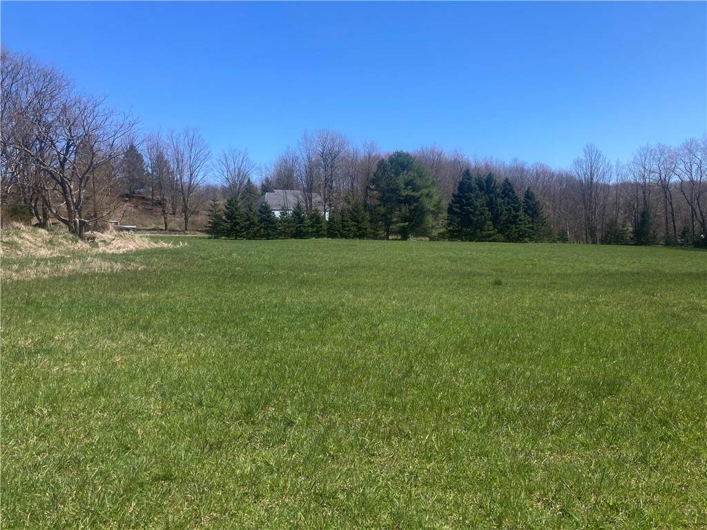 0 Dunk Hill Road - Photo 1