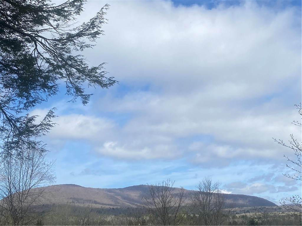 42 Prospect Street - Photo 1