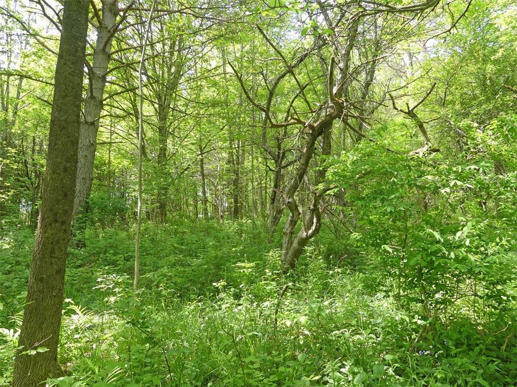 Lot 19 Orchard Lane - Photo 1