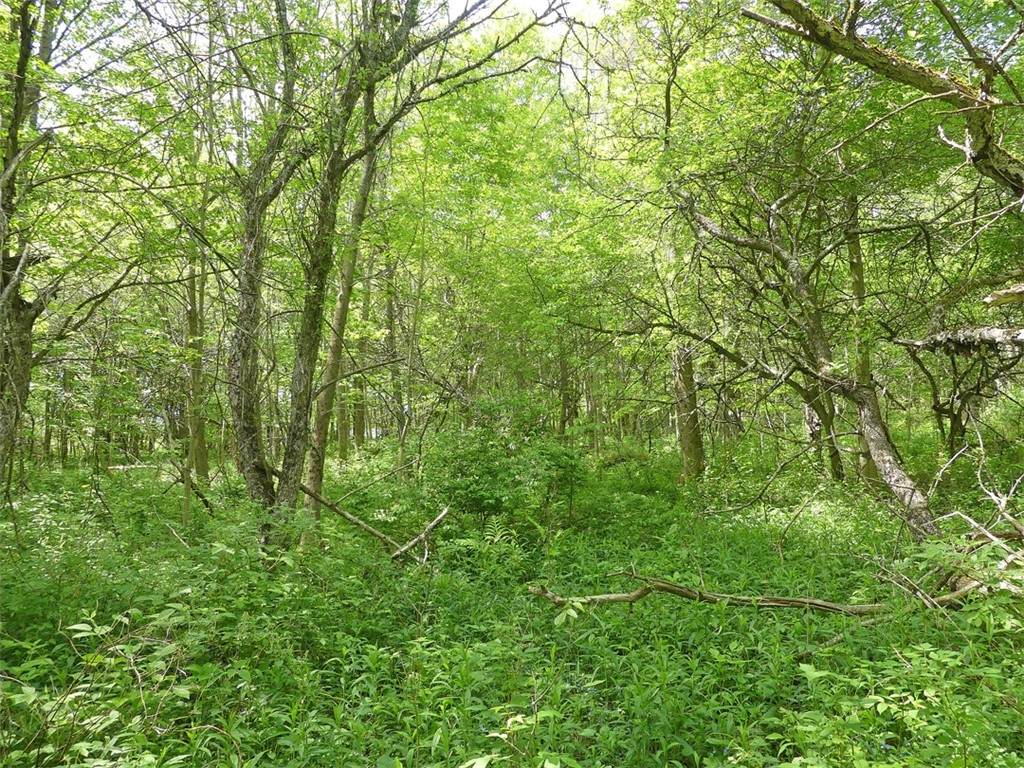 https://bt-photos.global.ssl.fastly.net/rochester/orig_boomver_1_R1540847-2.jpg