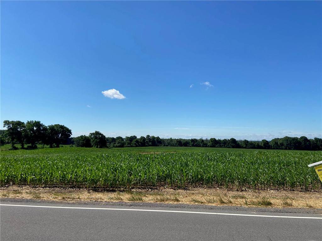 2170 Reed Rd Lot# 1 Road - Photo 1