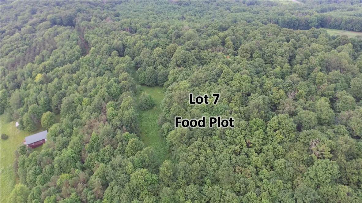 Lot 7 Valley View Drive - Photo 1