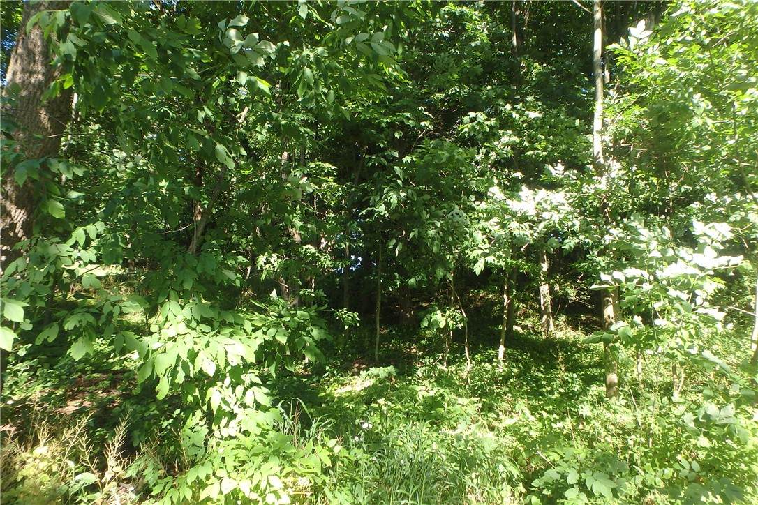 0 Fancher Avenue - Photo 1