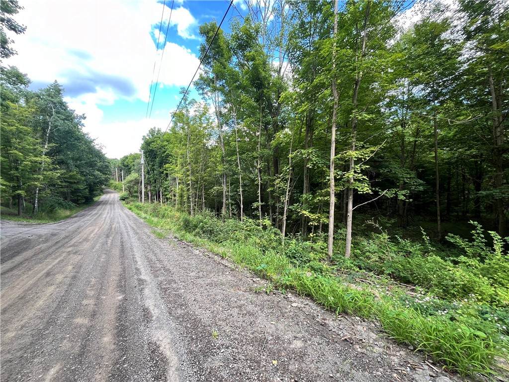 Lot 1 Greenbush Road - Photo 1