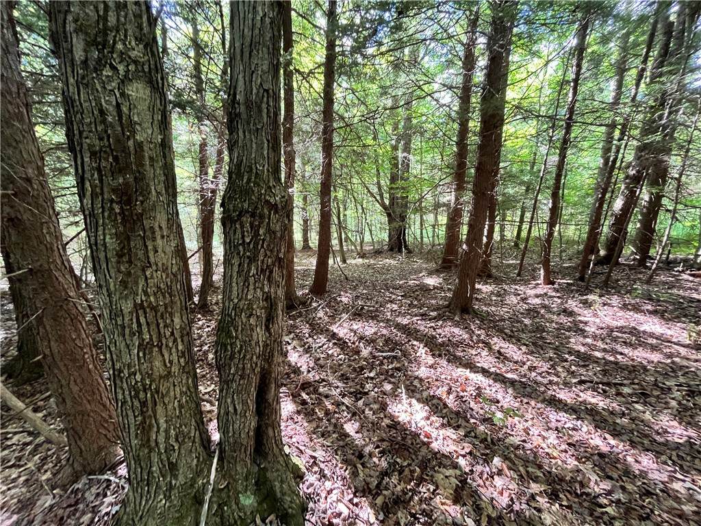 Lo1 2 Greenbush Road - Photo 1