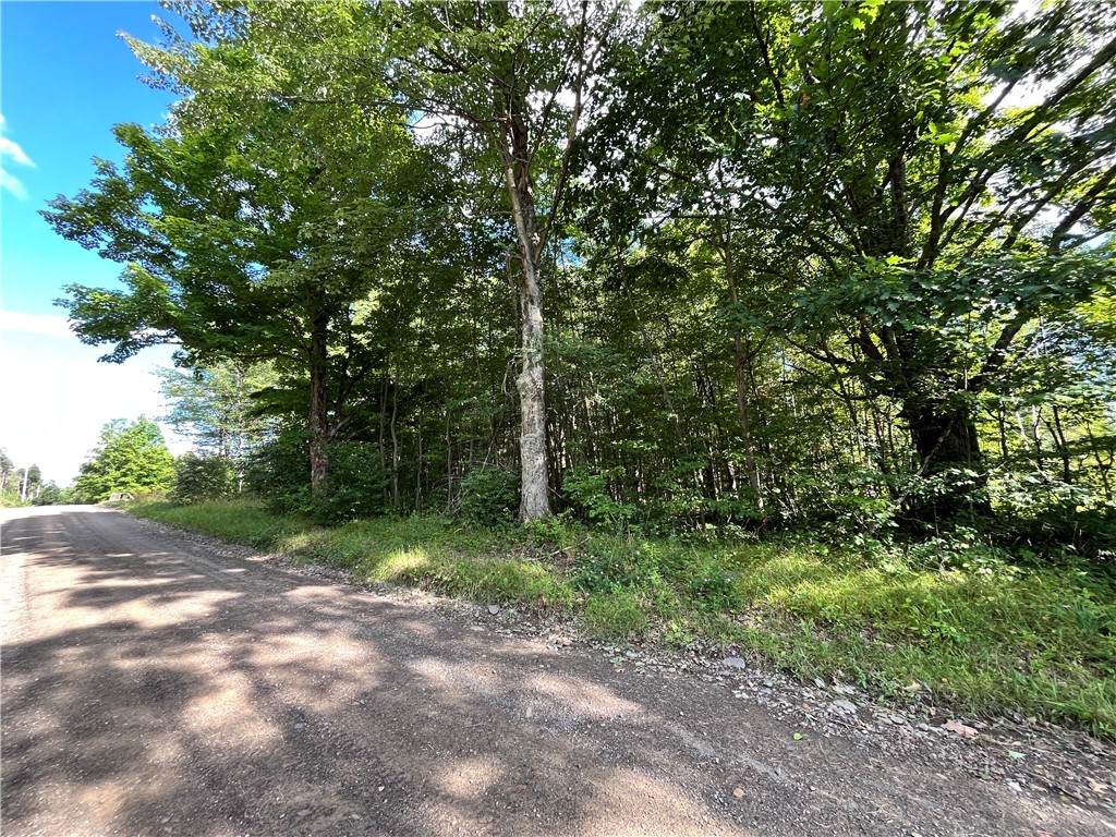 Lot 5 Greenbush Road - Photo 1