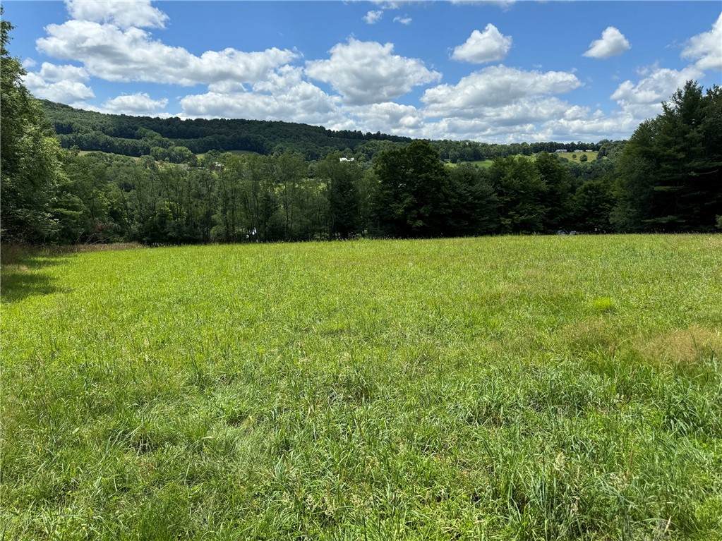 0 County Highway 12 & Stonehouse Road - Photo 1